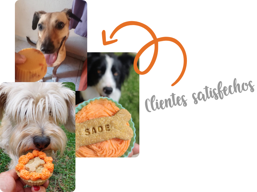 Deli Paws & Treats